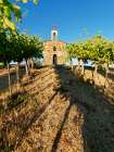 Red Willow Vineyards with stone chapel (PR) Art Print